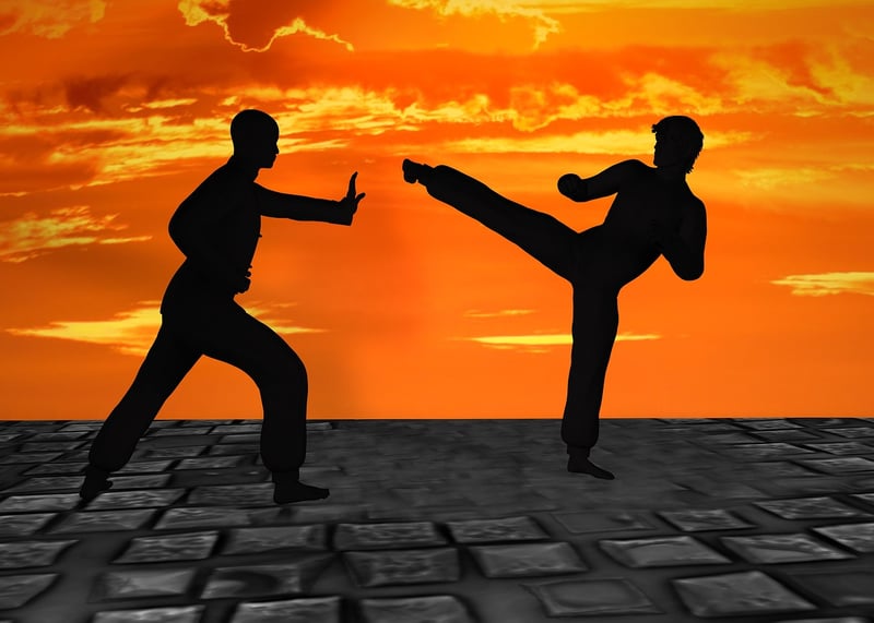 Kung Fu Martial Arts Silhouette